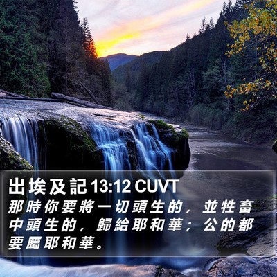 出 埃 及 記 13:12 CUVT Bible Verse Image