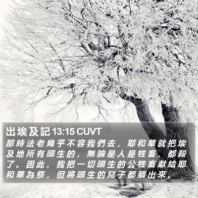 出 埃 及 記 13:15 CUVT Bible Verse Image