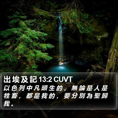 出 埃 及 記 13:2 CUVT Bible Verse Image