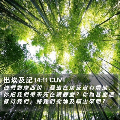 出 埃 及 記 14:11 CUVT Bible Verse Image