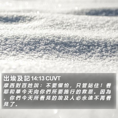 出 埃 及 記 14:13 CUVT Bible Verse Image