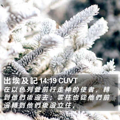 出 埃 及 記 14:19 CUVT Bible Verse Image