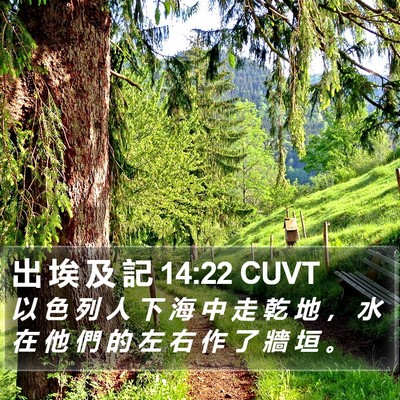 出 埃 及 記 14:22 CUVT Bible Verse Image