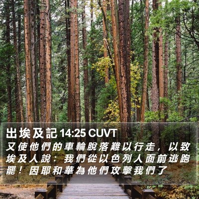 出 埃 及 記 14:25 CUVT Bible Verse Image