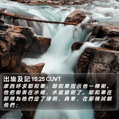 出 埃 及 記 15:25 CUVT Bible Verse Image