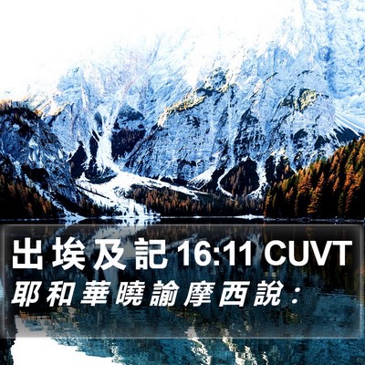 出 埃 及 記 16:11 CUVT Bible Verse Image