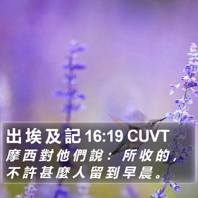 出 埃 及 記 16:19 CUVT Bible Verse Image
