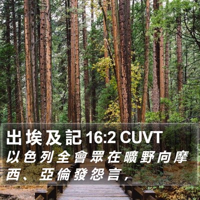 出 埃 及 記 16:2 CUVT Bible Verse Image