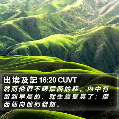 出 埃 及 記 16:20 CUVT Bible Verse Image