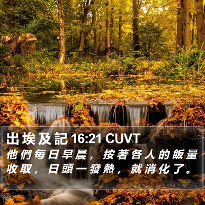 出 埃 及 記 16:21 CUVT Bible Verse Image