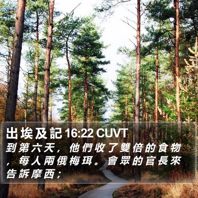 出 埃 及 記 16:22 CUVT Bible Verse Image