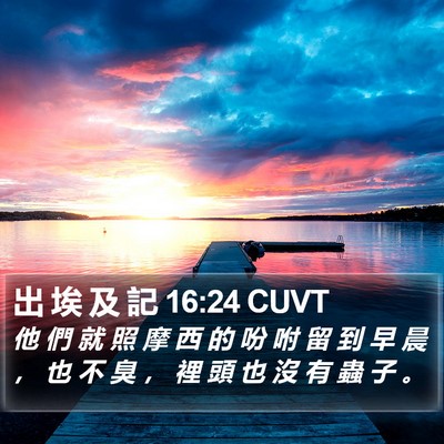 出 埃 及 記 16:24 CUVT Bible Verse Image