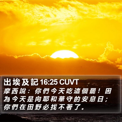 出 埃 及 記 16:25 CUVT Bible Verse Image