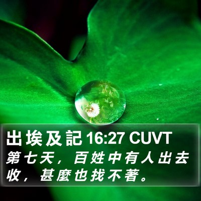 出 埃 及 記 16:27 CUVT Bible Verse Image