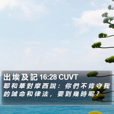 出 埃 及 記 16:28 CUVT Bible Verse Image
