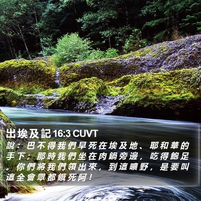 出 埃 及 記 16:3 CUVT Bible Verse Image