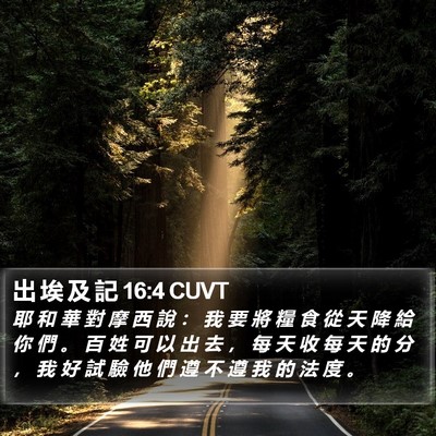 出 埃 及 記 16:4 CUVT Bible Verse Image