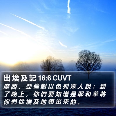 出 埃 及 記 16:6 CUVT Bible Verse Image