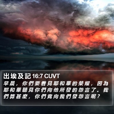 出 埃 及 記 16:7 CUVT Bible Verse Image