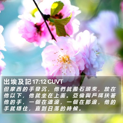 出 埃 及 記 17:12 CUVT Bible Verse Image