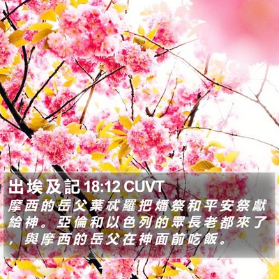 出 埃 及 記 18:12 CUVT Bible Verse Image
