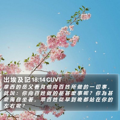 出 埃 及 記 18:14 CUVT Bible Verse Image