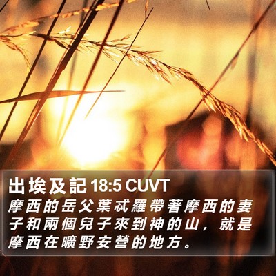 出 埃 及 記 18:5 CUVT Bible Verse Image