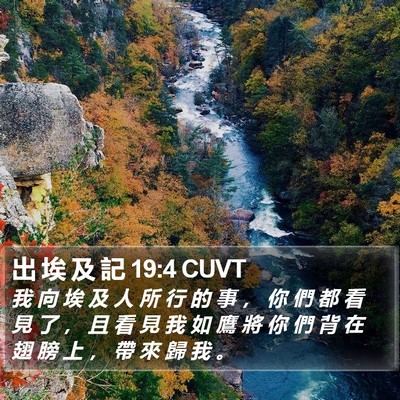 出 埃 及 記 19:4 CUVT Bible Verse Image