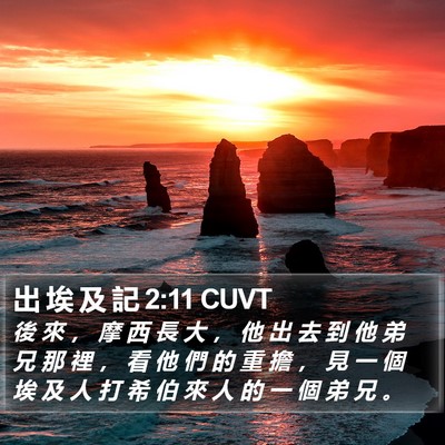 出 埃 及 記 2:11 CUVT Bible Verse Image