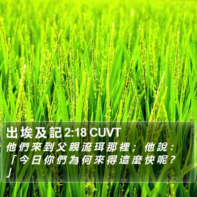 出 埃 及 記 2:18 CUVT Bible Verse Image