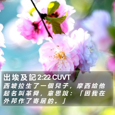 出 埃 及 記 2:22 CUVT Bible Verse Image