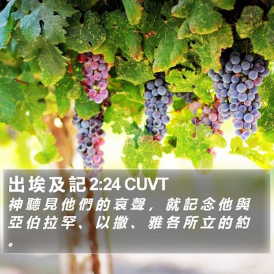 出 埃 及 記 2:24 CUVT Bible Verse Image
