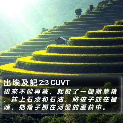 出 埃 及 記 2:3 CUVT Bible Verse Image