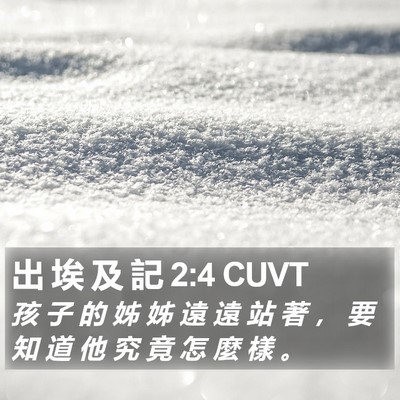 出 埃 及 記 2:4 CUVT Bible Verse Image