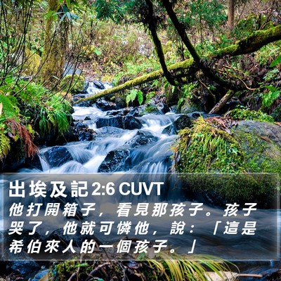 出 埃 及 記 2:6 CUVT Bible Verse Image