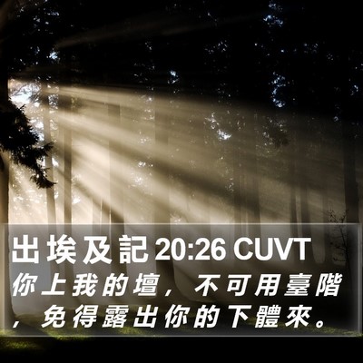 出 埃 及 記 20:26 CUVT Bible Verse Image
