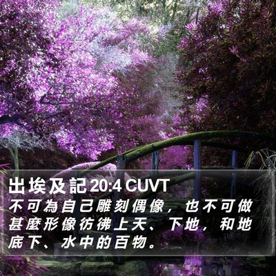 出 埃 及 記 20:4 CUVT Bible Verse Image