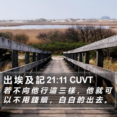 出 埃 及 記 21:11 CUVT Bible Verse Image