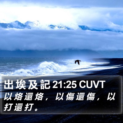 出 埃 及 記 21:25 CUVT Bible Verse Image