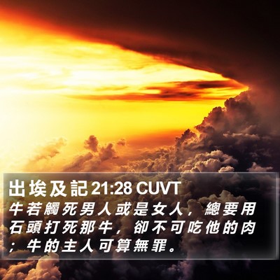 出 埃 及 記 21:28 CUVT Bible Verse Image