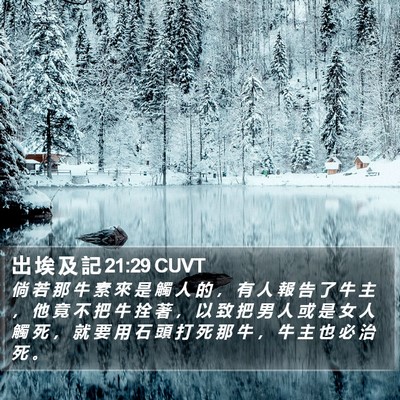 出 埃 及 記 21:29 CUVT Bible Verse Image