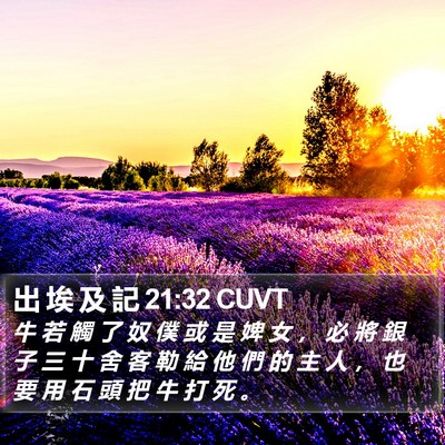 出 埃 及 記 21:32 CUVT Bible Verse Image