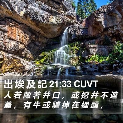 出 埃 及 記 21:33 CUVT Bible Verse Image