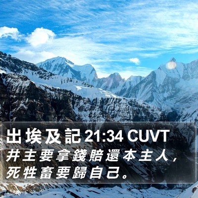 出 埃 及 記 21:34 CUVT Bible Verse Image