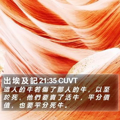 出 埃 及 記 21:35 CUVT Bible Verse Image
