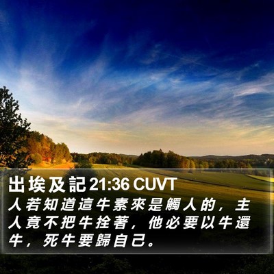 出 埃 及 記 21:36 CUVT Bible Verse Image