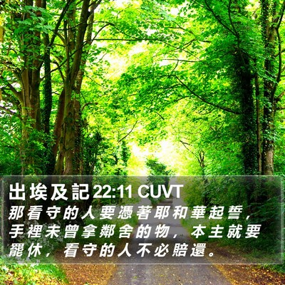 出 埃 及 記 22:11 CUVT Bible Verse Image