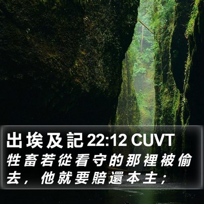 出 埃 及 記 22:12 CUVT Bible Verse Image