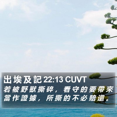 出 埃 及 記 22:13 CUVT Bible Verse Image