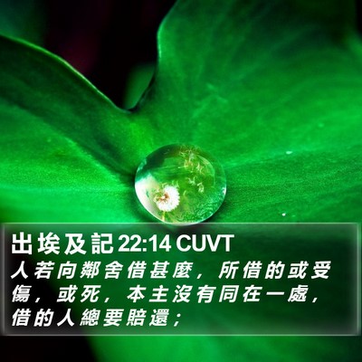 出 埃 及 記 22:14 CUVT Bible Verse Image